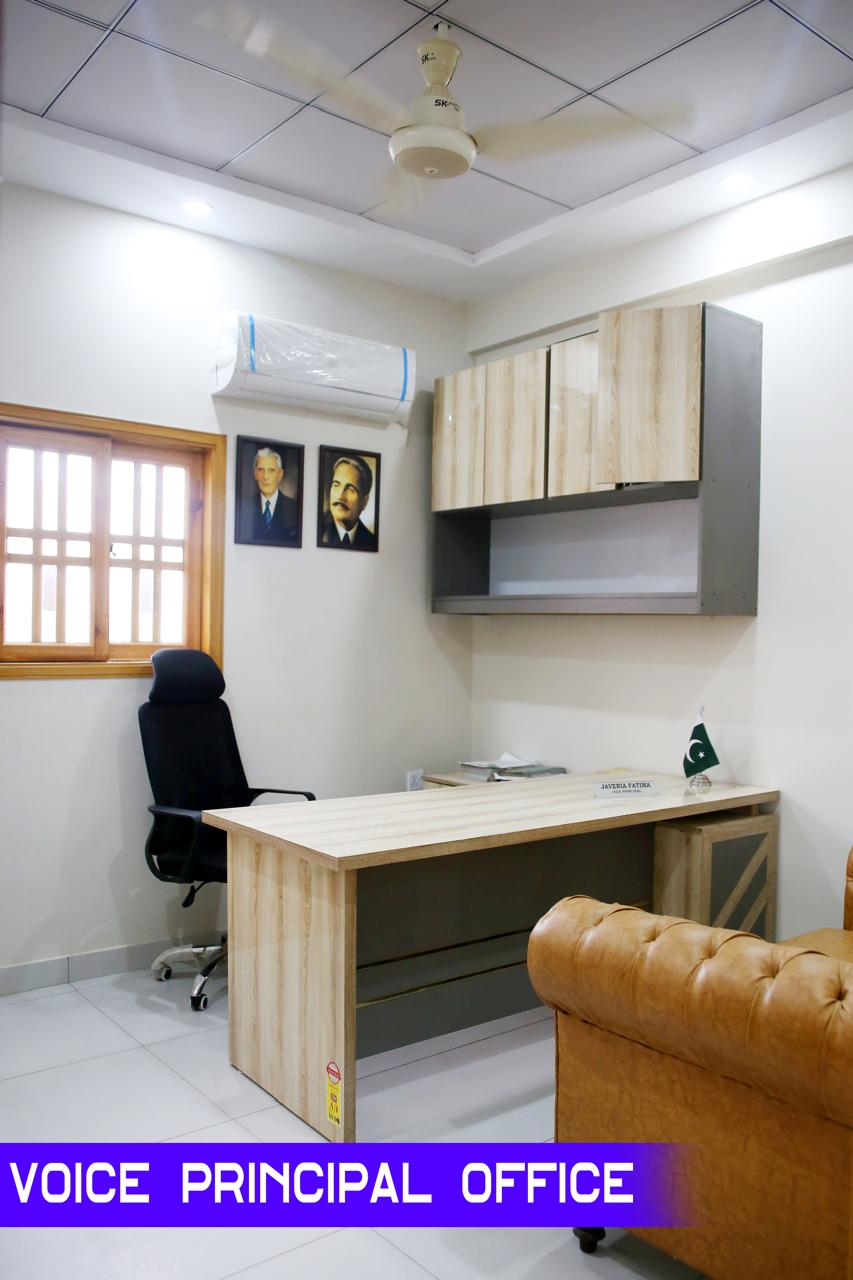Vice Principal Executive Office
